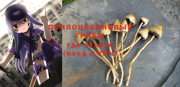 Альфа ПВП Зеленодольск