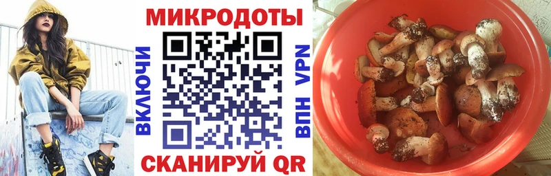 Купить  Истра  Галлюциногенные грибы мицелий 